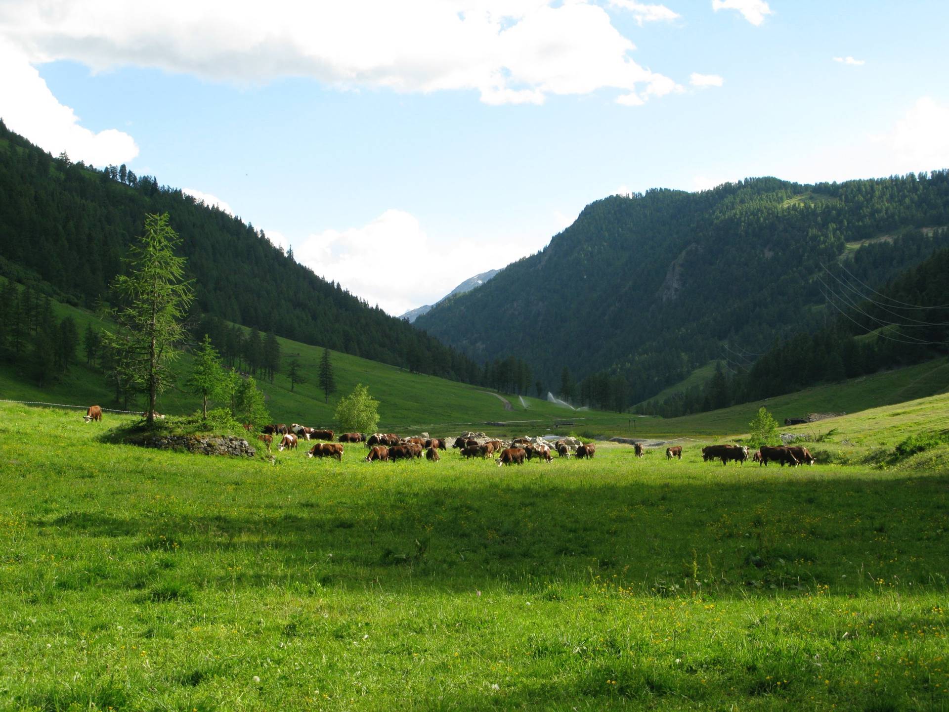 magie de vertosan - photo de B Domaine